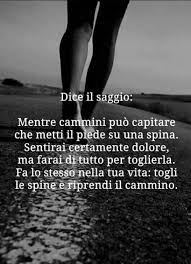 Se butti una pallina di neve giù da un monte mi auguro che queste frasi sulla resilienza ti possano essere utili. Belle Frasi Sulla Resilienza 1 Buongiornoate It