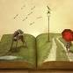 Kumeu Book Chat event image