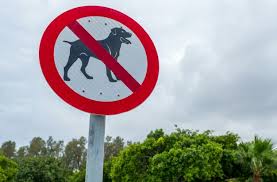 Auch als aufkleber ganz individuell in ihrem wunschformat. Bilder Hunde Verboten Gratis Vektoren Fotos Und Psds