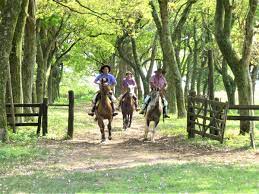 Horseriding holidays in south america. Ride Of The Week Argentina Horse Riding Holiday In Argentina S Corrientes Province Rideworldwide1