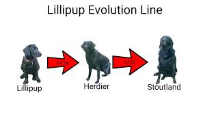Lillipup Evolution Line Album On Imgur
