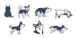 Understanding Husky Body Language Snowdog Guru