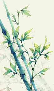 Bambus Aquarell Illustration Art Nature Drawong Paint Blumenzeichnungen Japanische Malerei