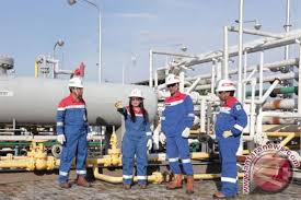 'state oil and natural gas mining company'. Pertamina Ep Asset 3 Overshoots Production Target Antara News
