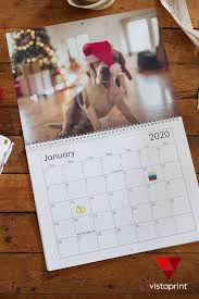 Wrap Up The Year Cute Baby Animals Cute Funny Animals Funny Animals With Captions