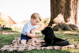 Click today to learn more about the dog breeds and puppies for sale. Prince George Birthday Photo Sparks Animal Rights Ire Time