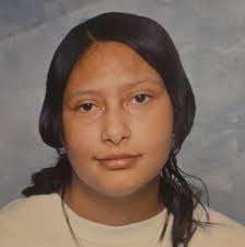 What are some ideas for using shredded rotisserie chicken?