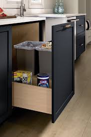 Besides good quality brands, you'll also find plenty of discounts when you shop for cabinet garbage can during big sales. Double Waste Bin Pullout Kitchen Craft