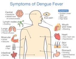 Sollte sie den verdacht haben das sie kohlenmonoxid eingeatmet haben, suchen sie unbedingt einen arzt auf. Nachschlagewerk Helptown