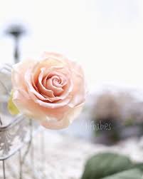 instagram 上的賴宛琪 歡樂的下課了 說好的通通留下來呢 我的花瓶很空虛 beewaxcandle 蜜蠟花 done by student plants flowers rose