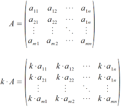 Rechengesetze werden erklärt und mit beispiele vorgestellt. Skalarmultiplikation Von Matrizen Einfache Erklarung