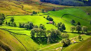 Listen free audio in english. Padang Rumput In English Youtube