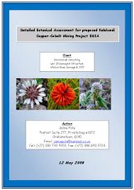 Image result for Basananthe longifolia