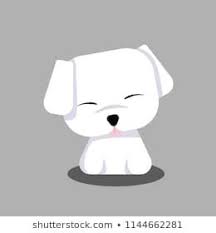 Cute Maltese White Puppy Cartoon Vector For Design Banner Logo Puppy Cartoon Maltese Maltese Puppy