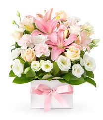 Check spelling or type a new query. Flowers From 39 Easyflowers Australia Send Flowers Online Australia Wide With Australia S Favourite Online Florist