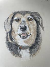 What to do for the background of this creature drawing?