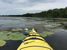 A $20 cash or credit card deposit life preservers and paddles are included with the rental. Rock Cut State Park Kayak Rental On Pierce Lake