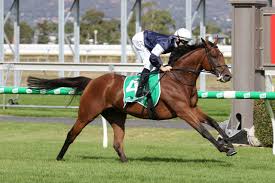 Adelaide Cup 2021 Field Tips Horses Odds Results