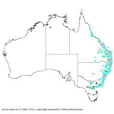 Image result for Entolasia