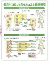 口が臭い対策 おならの臭いも改善 最強の消臭食品 はコレだ ケンカツ 健勝 ｹﾝｶﾂ health health practices beauty 口が臭い対策 おならの臭いも改善 最強の消臭食 holistic medicine health health practices