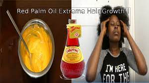 How To Use Red Palm Oil For Extremely Healthy Hair Red Palm Oil Natural Hair Oils Palm Oil Benefits