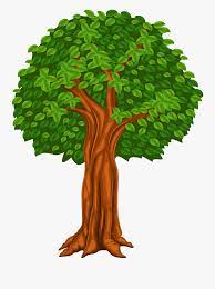 152,000+ vectors, stock photos & psd files. Cartoon Tree Clipart Transparent Background Novocom Top