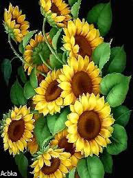 Mensagens Afins Gifs De Flores Brilhantes Pinturas De Girassol Flores Pintadas Gifs De Flores