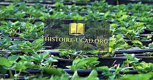 Aktiviti pertanian boleh memberi kesan negatif kepada alam sekitar adalah iaitu : Kesan Alam Sekitar Pestisida 2021