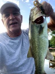 catching bass in brush piles