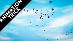 Blender Tutorial Bird Flock Youtube Blender Tutorial Blender 3d Animation Tutorial