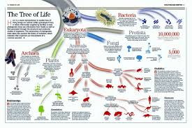 Https Www Google Com Blank Html Taxonomy Biology Taxonomy Biology