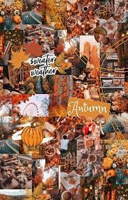 Autumn Collage Cute Fall Wallpaper Halloween Wallpaper Backgrounds Halloween Wallpaper Iphone