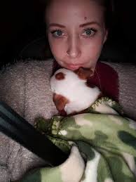 Investment in a canine companion