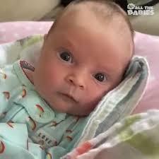 These cuties keep life interesting! 😊