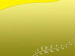 Use them in commercial designs under lifetime, perpetual & worldwide rights. Nature Photography Ppt Background 1 Hd Wallpapers Plain Templates For Ppt 1600x1200 Wallpaper Teahub Io