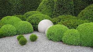 This evergreen adds a whimsical feel to the garden or landscape. 10 Things Topiary Lovers Should Know