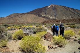 Teide volcano at 3.718 metres above sea level is the highest peak in all spain. Wanderweg Pico Teide Mit Genehmigung Und Fuhrer In Teneriffa 2021