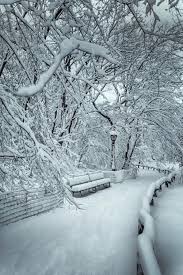 Winter Wonderland Relax With This Nature Photo Relax More With This Free Music With Binauralbeats That Can Heal You Land Seyahat Manzara Resimler