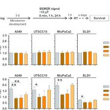 Bemer Therapy Radiosensitizes Microtumors A Flow Chart Of