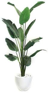 Travelers Palm Bird Of Paradise One Kings Lane 90 Traveler S Palm Tree With Planter Faux Travellers Palm Plants Hanging Plants
