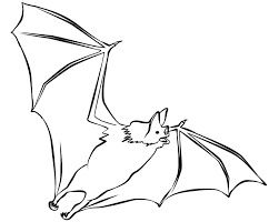 Bat coloring pages for preschoolers. Free Bat Coloring Pages Coloring Home