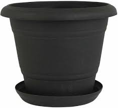 Trendspot planter pot plant coral ceramic acorn indoor outdoor garden 6 inch. Divine Tree Round Plastic 14 Inch Flower Pots Planters With Tray For Outdoor Indoor Gardening Black 14x14x12 Inch Plant Container Set Price In India Buy Divine Tree Round Plastic 14 Inch