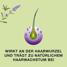 Wann der volle empfängnisschutz gegeben ist, hängt maßgeblich vom tag ersten tag der einnahme ab. Priorin Liquid 50 Ml Shop Apotheke Com