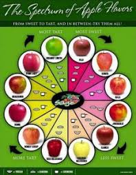 A hard pruning every three years results in a healthier apple tree and more fruit. 8 Steps To Pruning Overgrown Fruit Trees Watters Garden Center