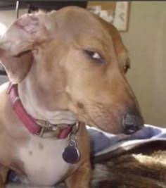 7 BOMBASTIC side eye???? ideas | side eye, reaction face, reaction pictures