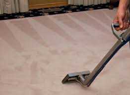 Information about american national standards maintained under the continuous treatment chemicals—health effects nsf 61 drinking water system components—health effects nsf 140 sustainable carpet assessment nsf 169 special. Residential Carpet Cleaning Services Rockford Il Abc Carpet Cleaning Rockford Il