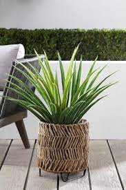 Pin By Kristal On Garden In 2021 Plants Large Plant Pots Plant Pot Diy