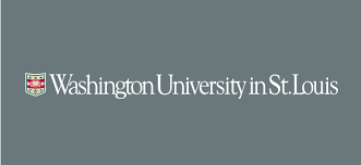 Rgb, cymk for print, hex for web and the pantone colors can be seen below. Washu Logo Guidelines Office Of Public Affairs