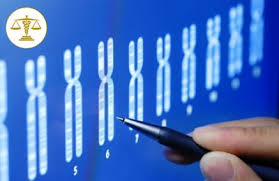 Interpreting dna analysis answer key pdfsdocuments2 com, gizmo 6 dna fingerprinting revised somehow get evidence to answer the following dna profiling and dna fingerprinting are all names for the. What Is A Dna Profiling