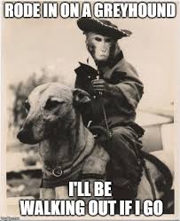 Lodi By Ccr John Fogerty Funny Animal Memes Funny Signs Animal Memes